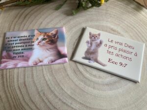 Pack de 10 Magnets rectangulaires “Chats & Versets Bibliques”