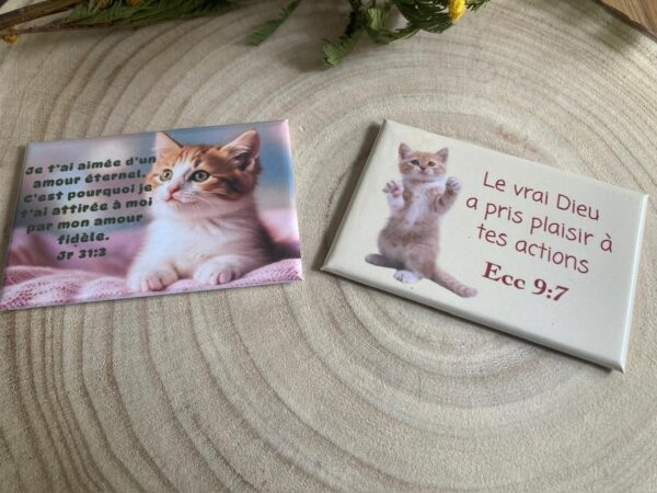 Pack de 10 Magnets rectangulaires “Chats & Versets Bibliques”