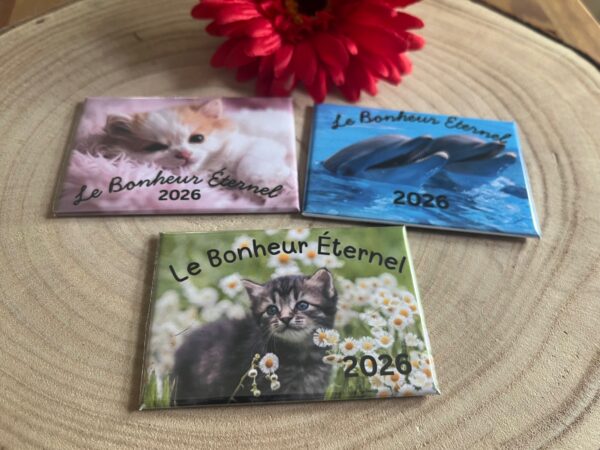 Lot de 3 magnets rectangulaires personnalisés – “Le Bonheur Éternel 2026” – Édition Assemblée