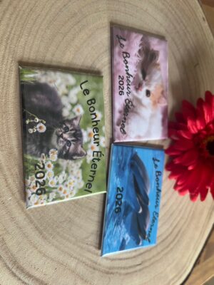 Lot de 3 magnets rectangulaires personnalisés – “Le Bonheur Éternel 2026” – Édition Assemblée