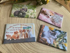 Magnets rectangulaires “Chats & Versets Bibliques”